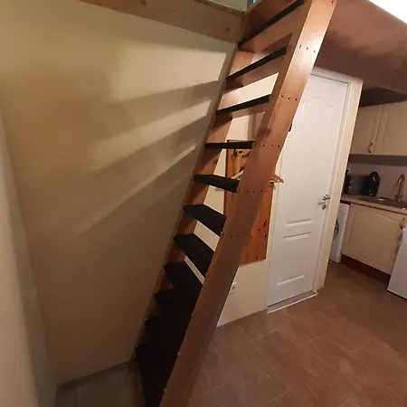 Mokuska Erdoszeli Fahaziko Apartament *