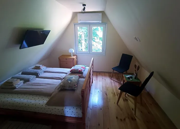 Mókuska Erdőszéli Faházikó Apartamento Parád